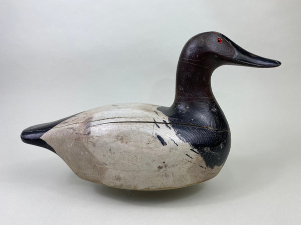 Marshall Williams Canvasback Drake, Circa 1920 (#8809