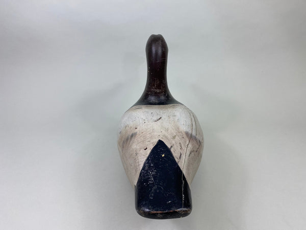 Marshall Williams Canvasback Drake, Circa 1920 (#8809