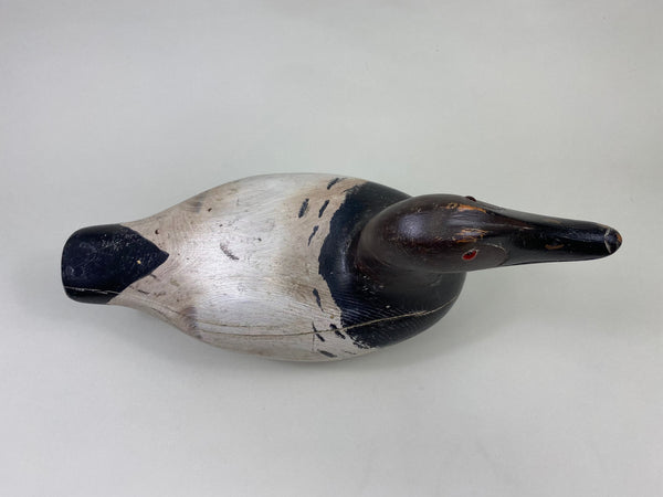 Marshall Williams Canvasback Drake, Circa 1920 (#8809