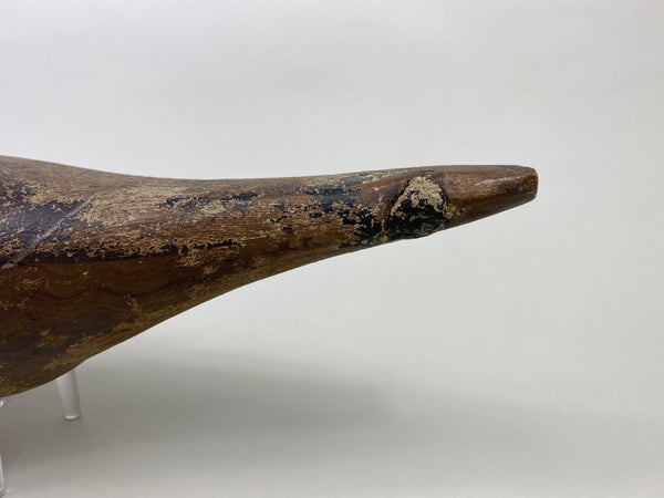 Dodge Pintail Hen, Circa 1900 (#8825)