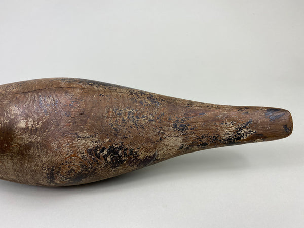 Dodge Pintail Hen, Circa 1900 (#8825)
