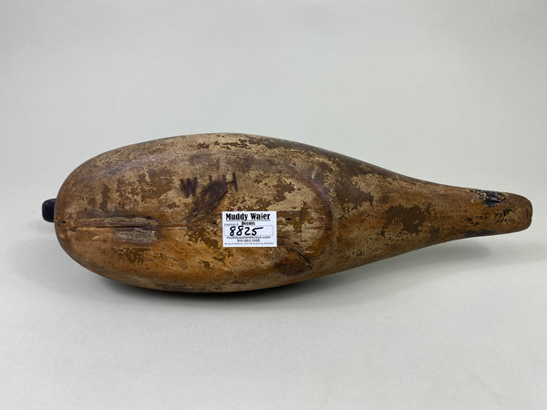 Dodge Pintail Hen, Circa 1900 (#8825)