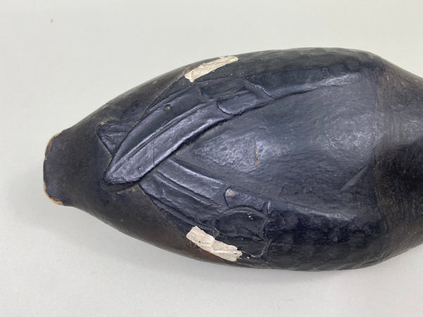 East Coast White Wing Scoter, Circa 1910's (#8839)