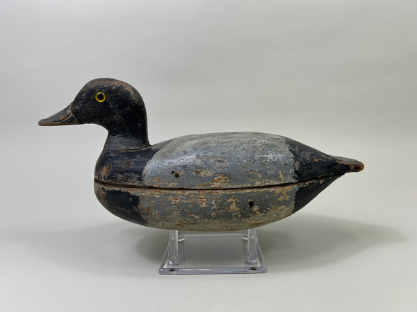 Illinois River Hollow Blue Bill, Circa 1920's (#4034)