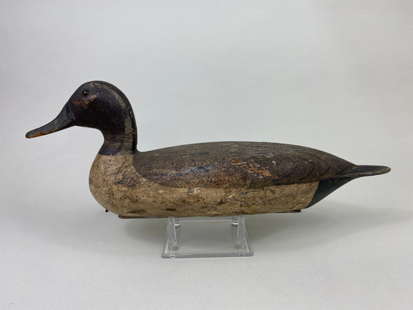 Robert Elliston Pintail Drake Circa 1900 (#8864)