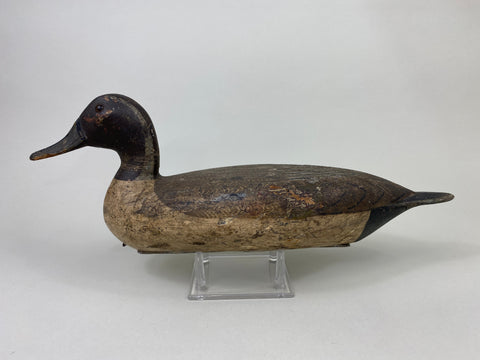 Robert Elliston Pintail Drake Circa 1900 (#8864)