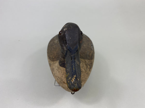 Robert Elliston Pintail Drake Circa 1900 (#8864)