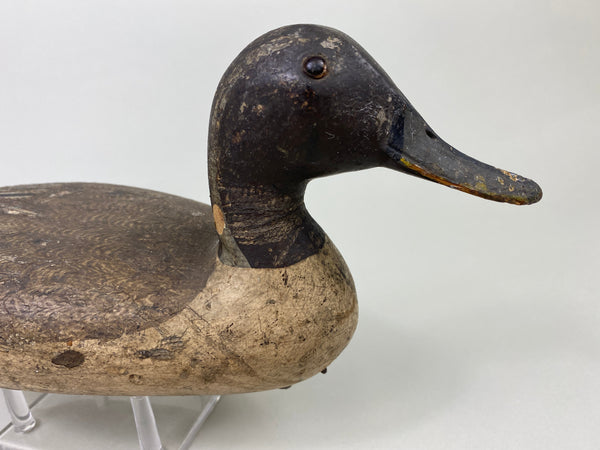 Robert Elliston Pintail Drake Circa 1900 (#8864)