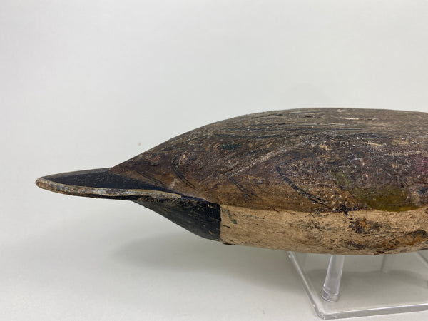 Robert Elliston Pintail Drake Circa 1900 (#8864)