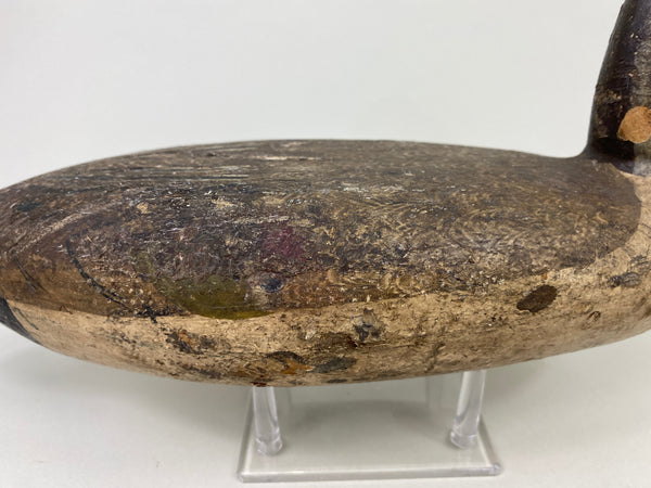 Robert Elliston Pintail Drake Circa 1900 (#8864)