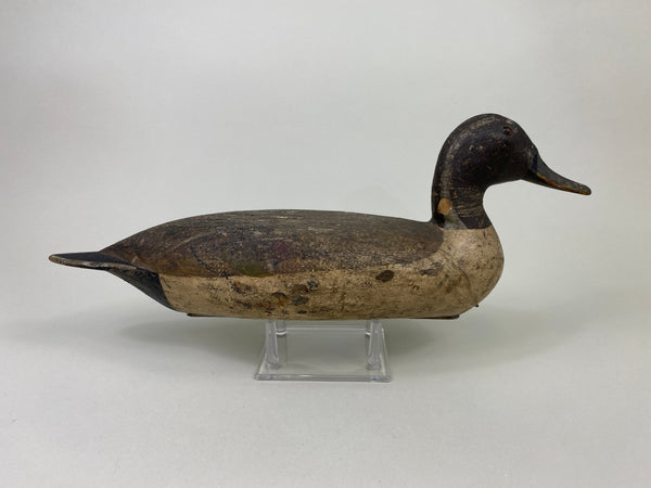 Robert Elliston Pintail Drake Circa 1900 (#8864)