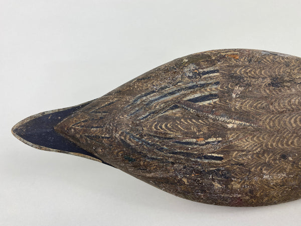 Robert Elliston Pintail Drake Circa 1900 (#8864)