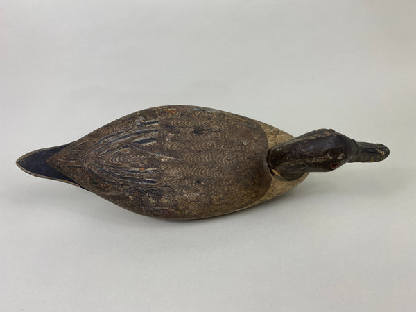 Robert Elliston Pintail Drake Circa 1900 (#8864)