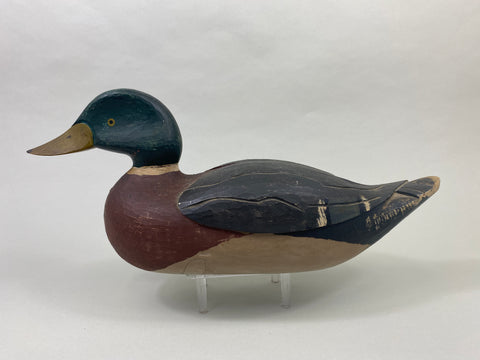 Gerald Tremblay Mallard Drake (#8876)