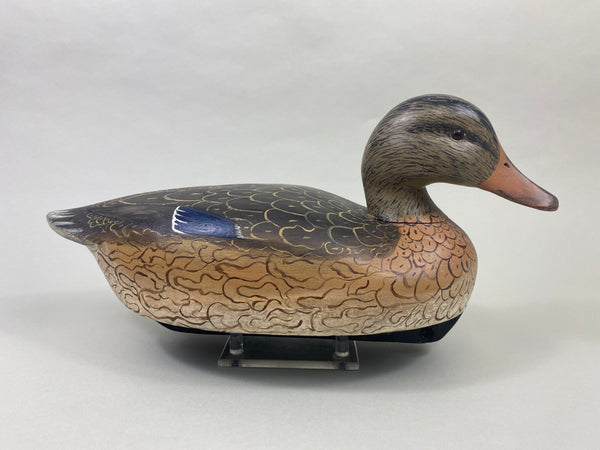 Ken Harris Mallard Hen, Hunting Bird (#8879)