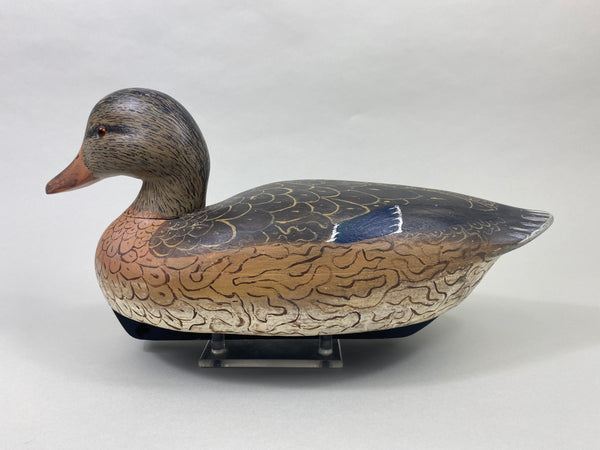 Ken Harris Mallard Hen, Hunting Bird (#8879)