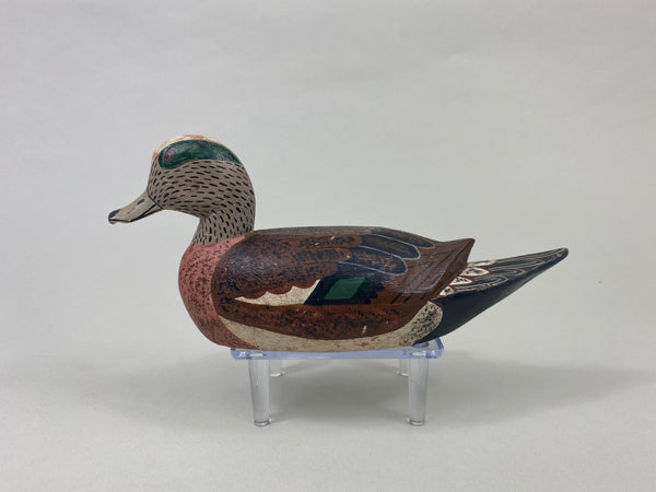 Louisiana Widgeon Drake (#8880)