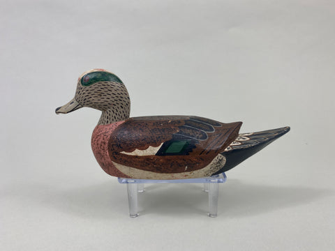 Louisiana Widgeon Drake (#8880)