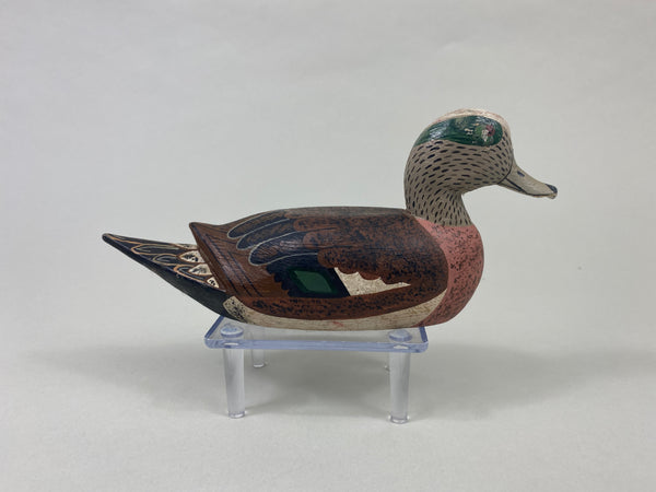 Louisiana Widgeon Drake (#8880)