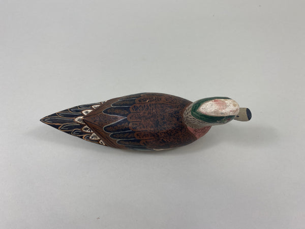 Louisiana Widgeon Drake (#8880)