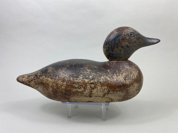 Mason Widgeon Drake Standard Grade (#8899)