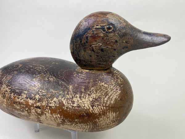 Mason Widgeon Drake Standard Grade (#8899)