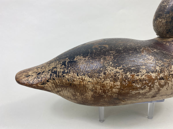 Mason Widgeon Drake Standard Grade (#8899)