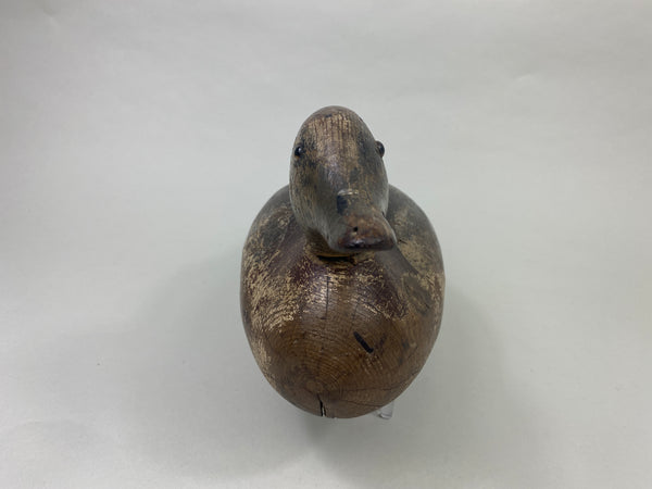 Mason Widgeon Drake Standard Grade (#8899)