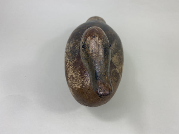 Mason Widgeon Drake Standard Grade (#8899)