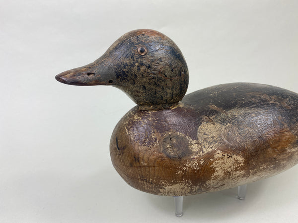 Mason Widgeon Drake Standard Grade (#8899)