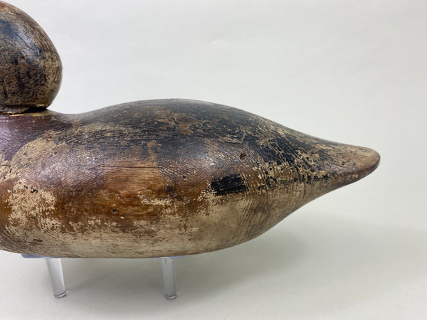 Mason Widgeon Drake Standard Grade (#8899)