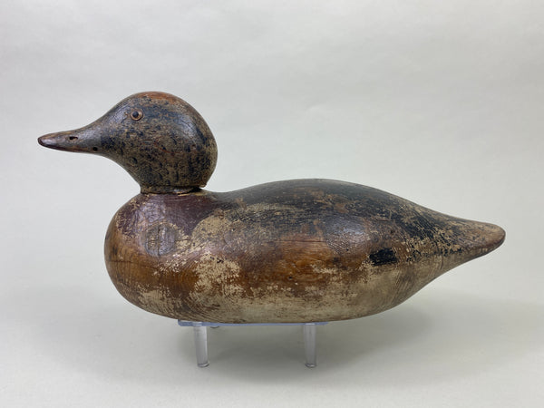 Mason Widgeon Drake Standard Grade (#8899)