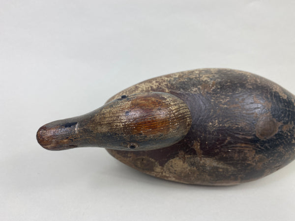 Mason Widgeon Drake Standard Grade (#8899)