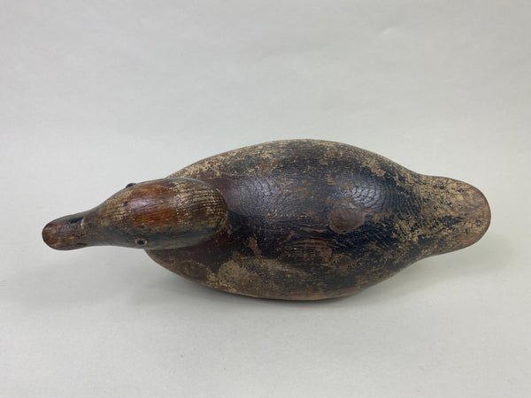 Mason Widgeon Drake Standard Grade (#8899)