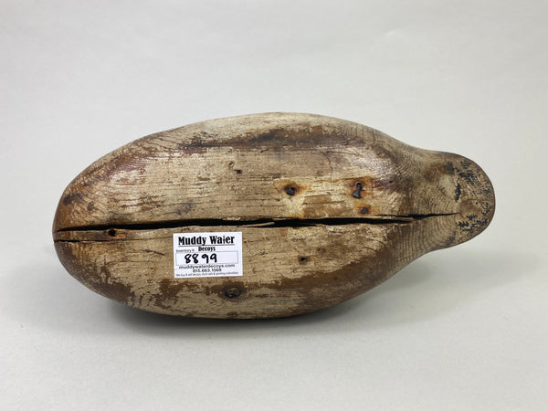 Mason Widgeon Drake Standard Grade (#8899)