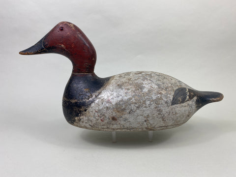 Evans Mammoth Grade Canvasback Drake (#8906)