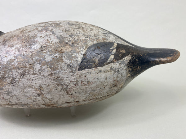 Evans Mammoth Grade Canvasback Drake (#8906)