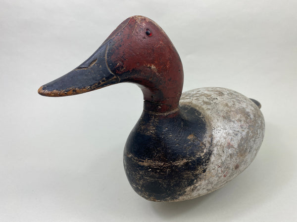 Evans Mammoth Grade Canvasback Drake (#8906)