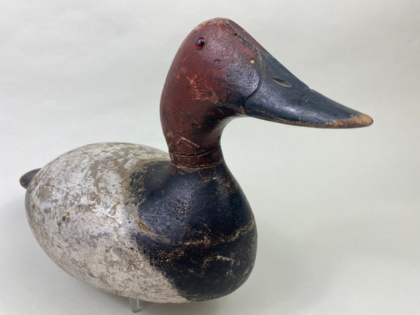 Evans Mammoth Grade Canvasback Drake (#8906)