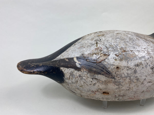 Evans Mammoth Grade Canvasback Drake (#8906)