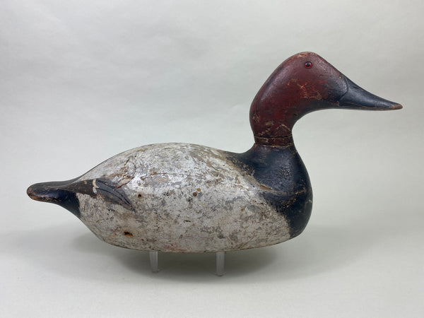 Evans Mammoth Grade Canvasback Drake (#8906)