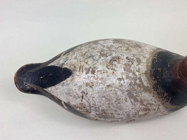 Evans Mammoth Grade Canvasback Drake (#8906)