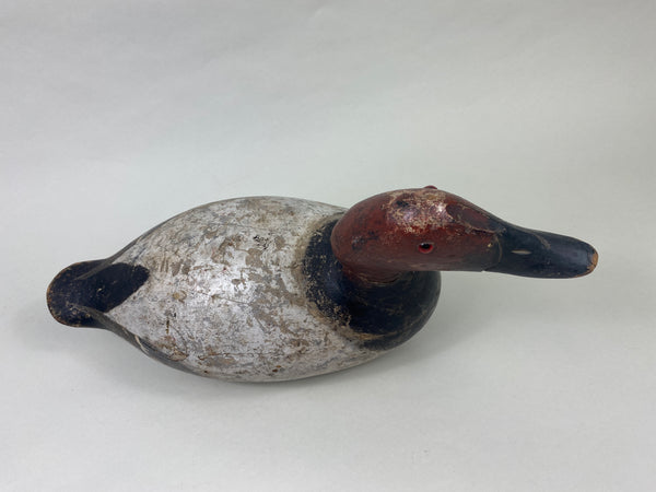 Evans Mammoth Grade Canvasback Drake (#8906)