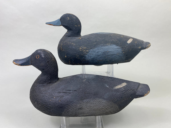 Pair of Oliver King Bluebills (#8907)