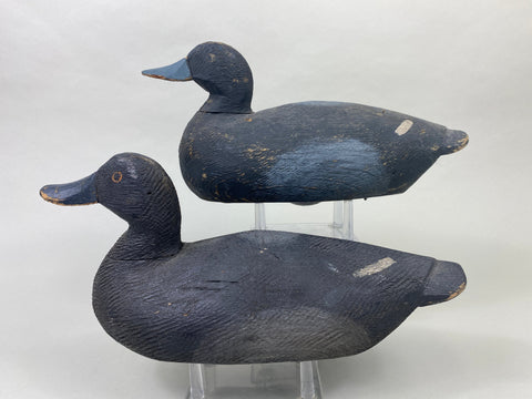 Pair of Oliver King Bluebills (#8907)