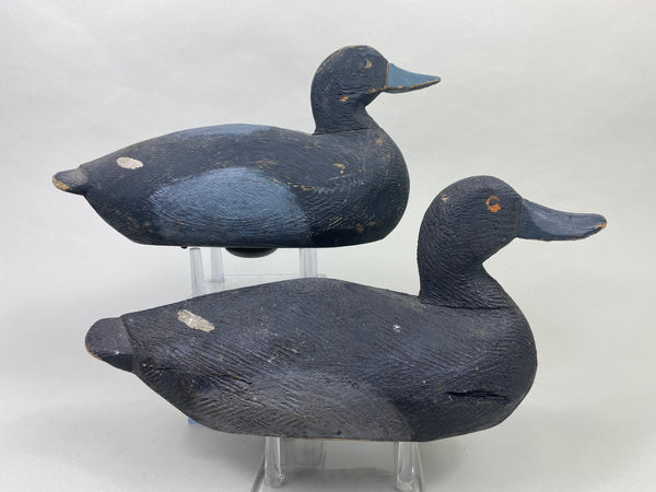 Pair of Oliver King Bluebills (#8907)