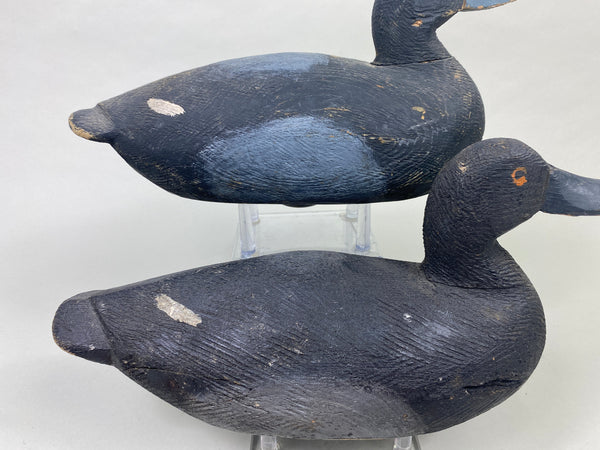 Pair of Oliver King Bluebills (#8907)