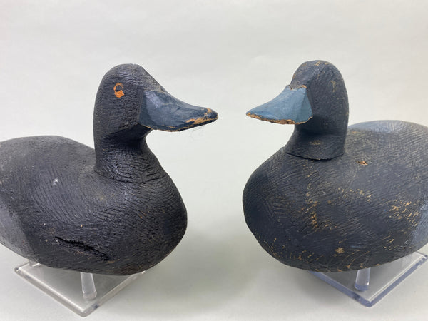 Pair of Oliver King Bluebills (#8907)