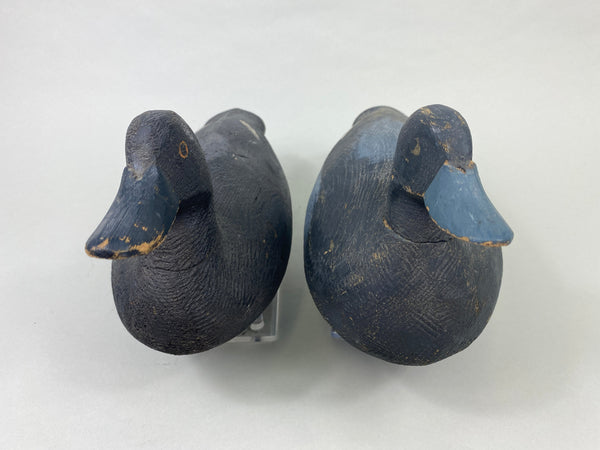 Pair of Oliver King Bluebills (#8907)