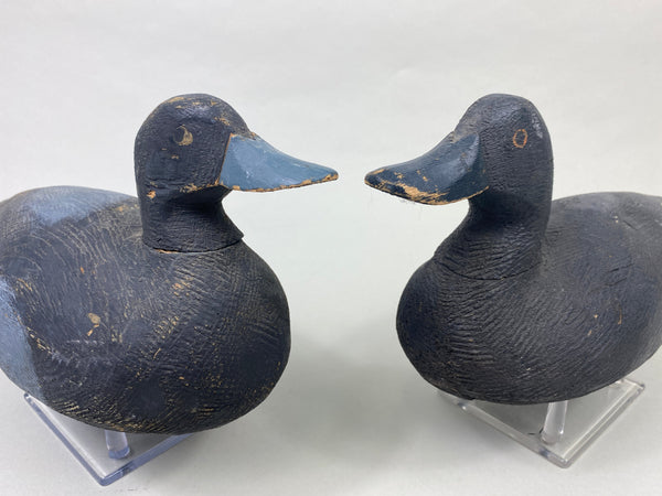 Pair of Oliver King Bluebills (#8907)